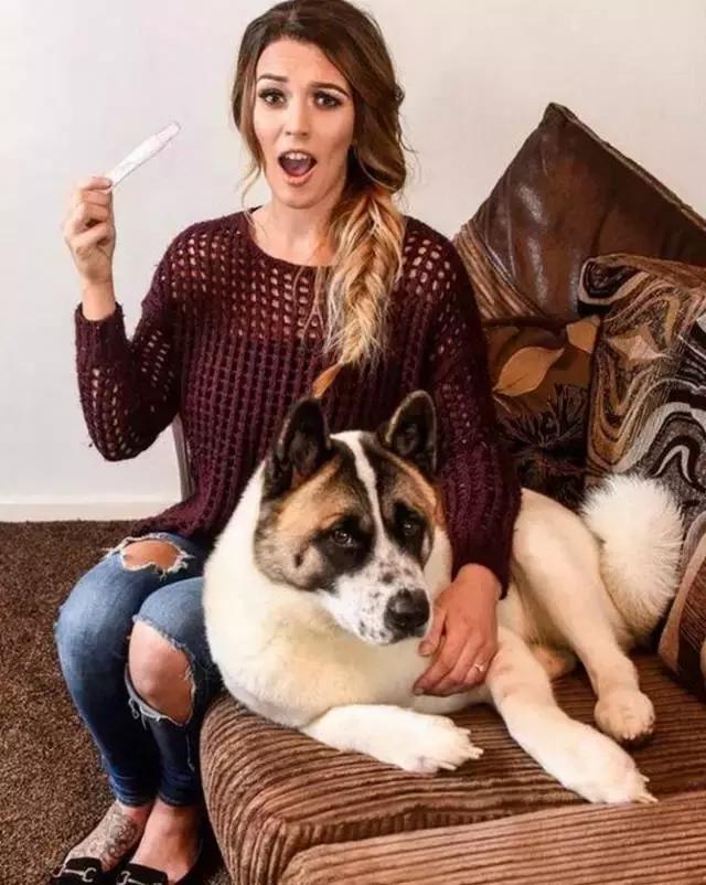 怀孕的狗狗一直哀嚎,怀孕狗狗反常焦躁走来走去还哼唧