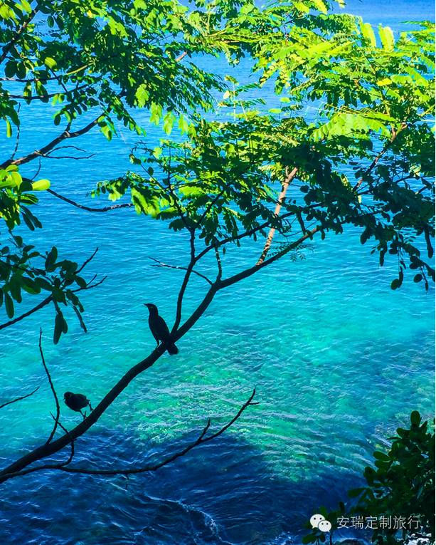 塞班岛和塞舌尔哪个好,塞舌尔菲律宾旅游