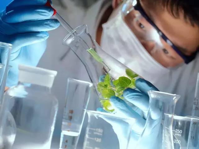 开学啦英语怎么学,学习茶学的好处