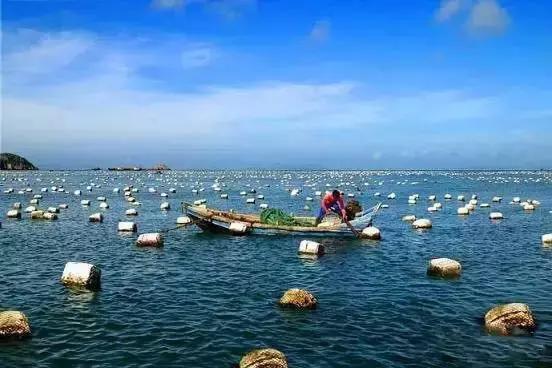 福建这些文艺到爆的灯塔,去完之后才能跟夏天好好道个别!