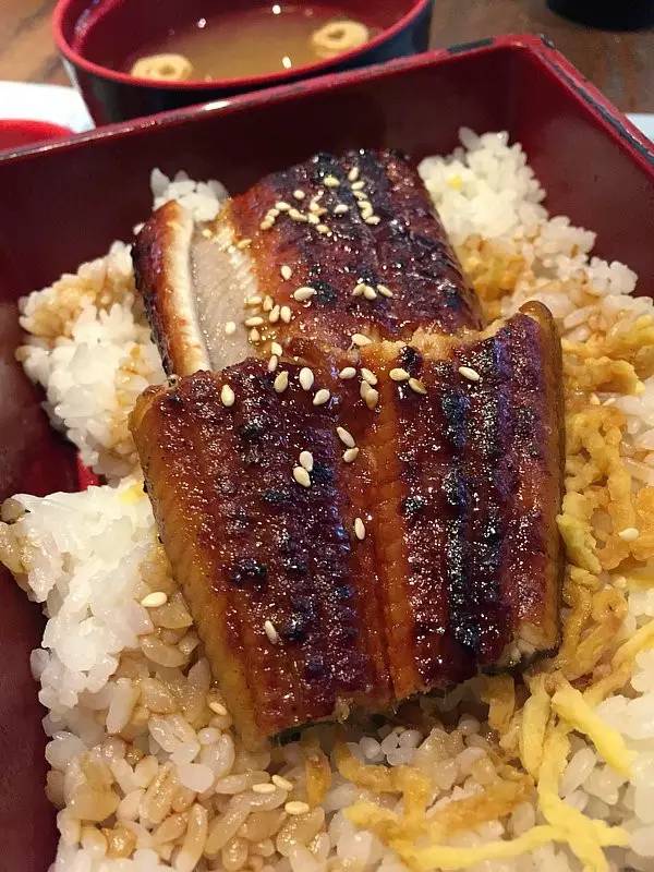 香港|两日一夜,不出沙田到底怎么玩