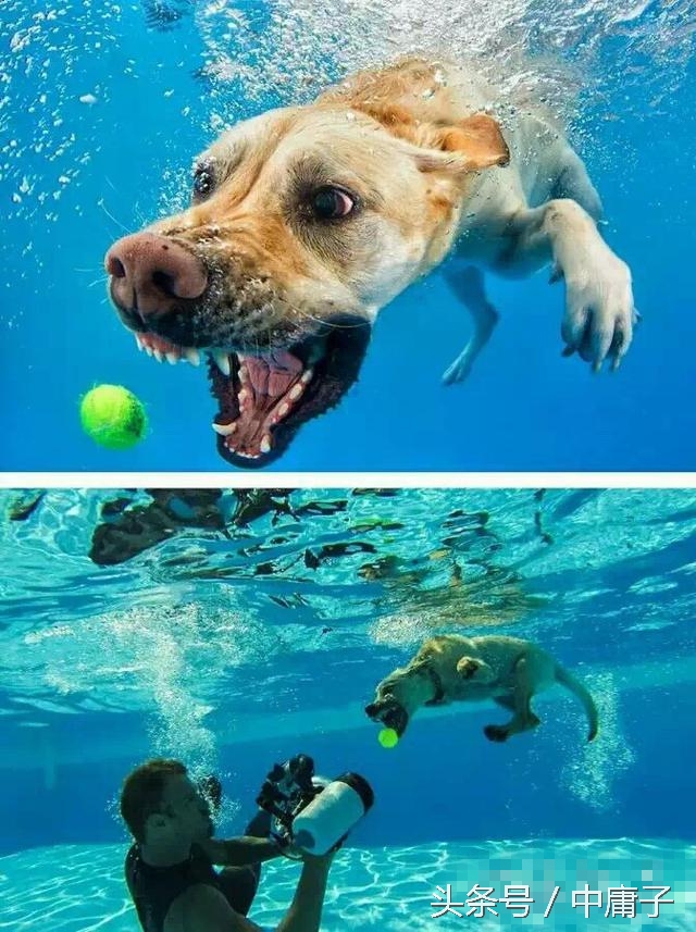 婚纱照p图特效图,p图婚纱照怎样p