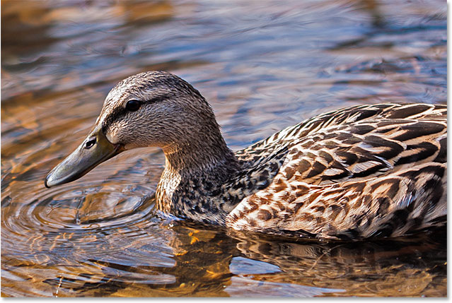ps精修教程详细讲解阴影和高光,ps怎么修阴影和高光