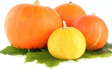 南瓜防治糖尿病降血糖,糖尿病吃南瓜会不会降血糖