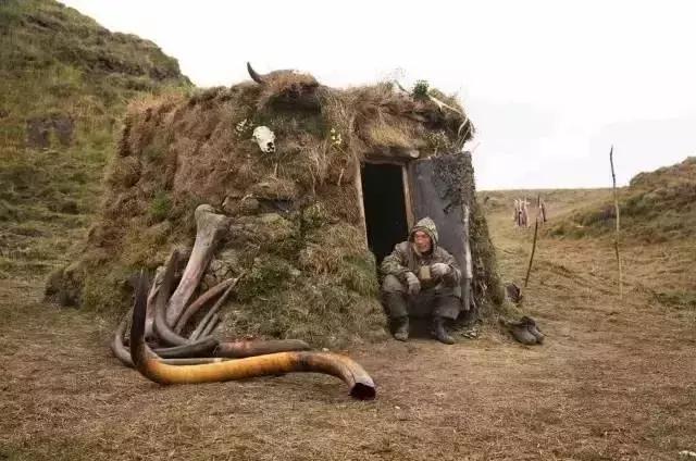 象牙的十大秘密 (象牙的惊人秘密)