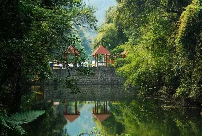 安溪由茶乡变成诈骗之乡,安溪为啥被称为诈骗之乡