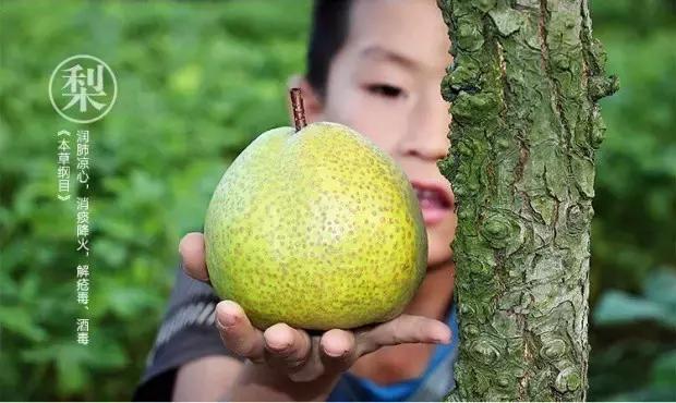 烟台万象汇美食排行榜前十名,烟台旅游攻略必去景点美食