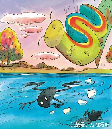 虐心绘本：当蝌蚪爱上毛毛虫，看完人生会有所不同