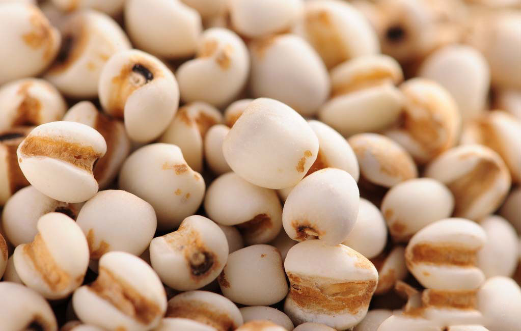 风湿病人应该如何饮食,风湿心脏病饮食注意事项