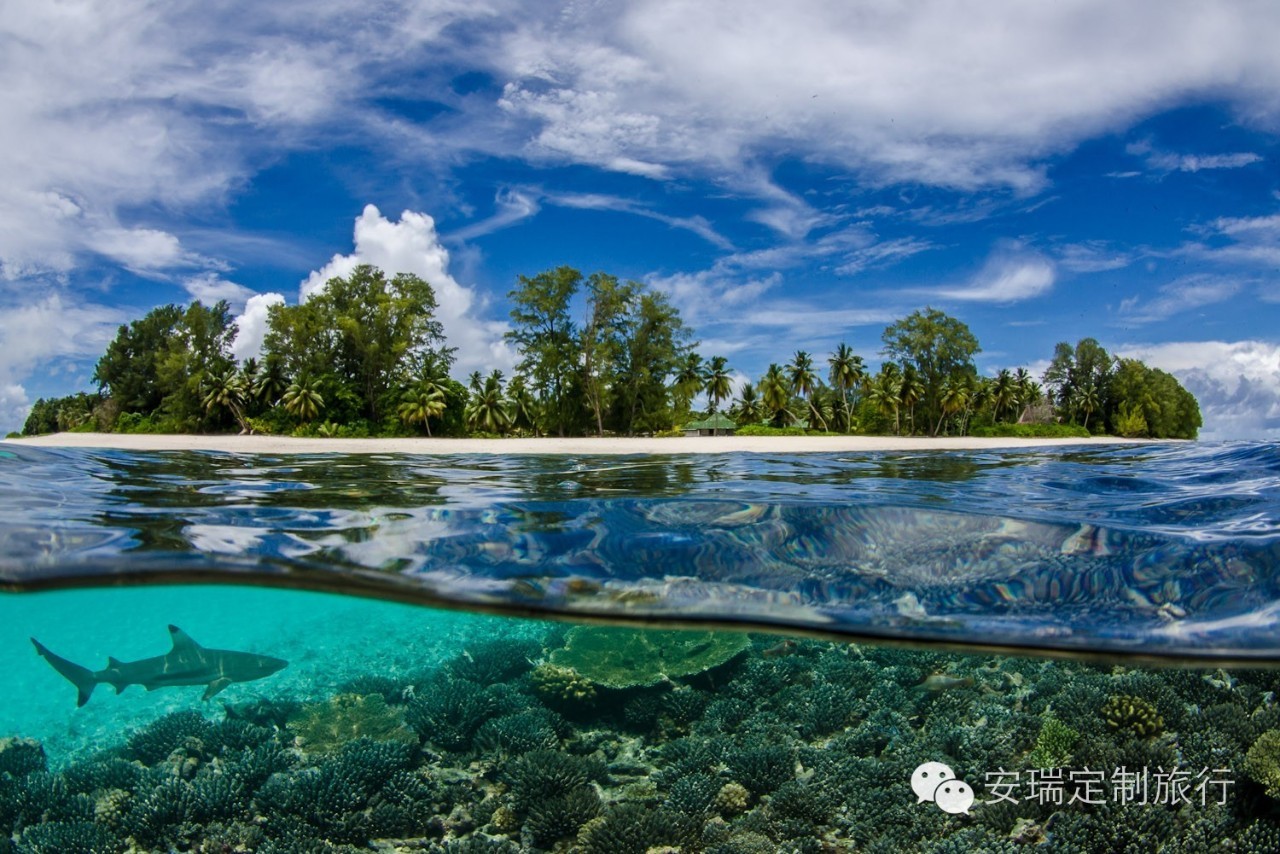 塞班岛和塞舌尔哪个好,塞舌尔菲律宾旅游