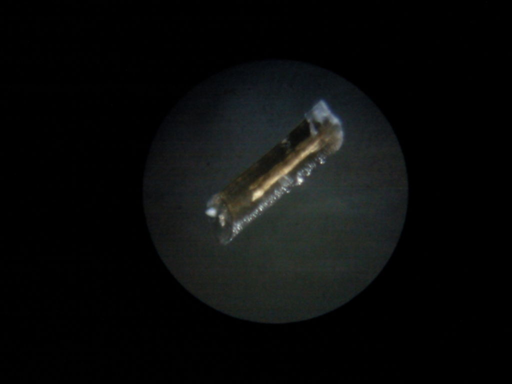 手机摄像机如何可以当显微镜使用,如何用旧手机的摄像头做显微镜