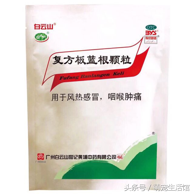 金丝熊日常需要准备的药物,仓鼠金丝熊适用的药品