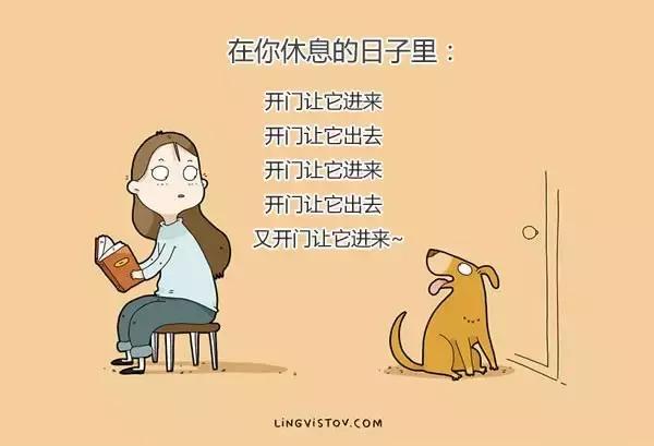 插画师养狗的24个日常,世界上最火的狗插画作品