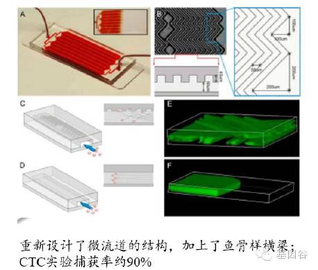循环肿瘤细胞ctc检测技术,液体活检ctc多少费用