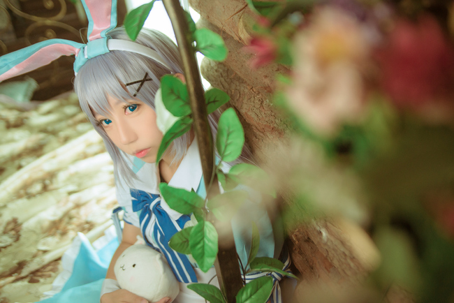 香风智乃兔子,香风智乃cos如何穿