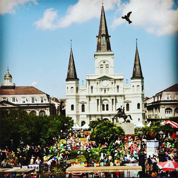 杜兰大学排名榜,杜兰大学在国内认可度