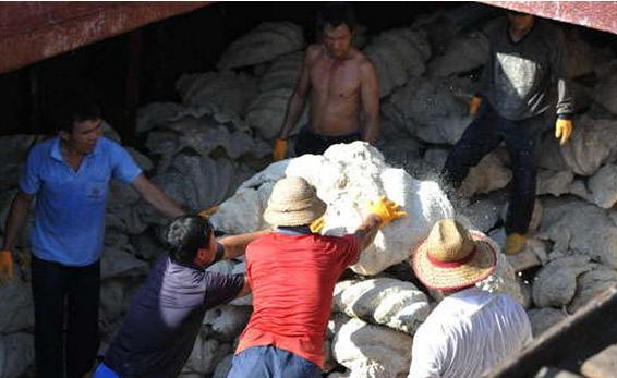 文玩催生的这几个高危职业,以命换钱令人心酸!