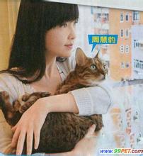 昔日玉女，义无反顾嫁渣男，49岁无儿女养猫代替孩儿