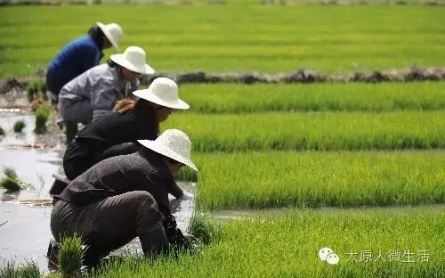 太原必带的10种特产,太原特产竟然这么多