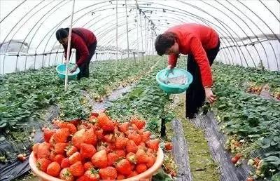 天呐！年轻情侣亲个嘴后