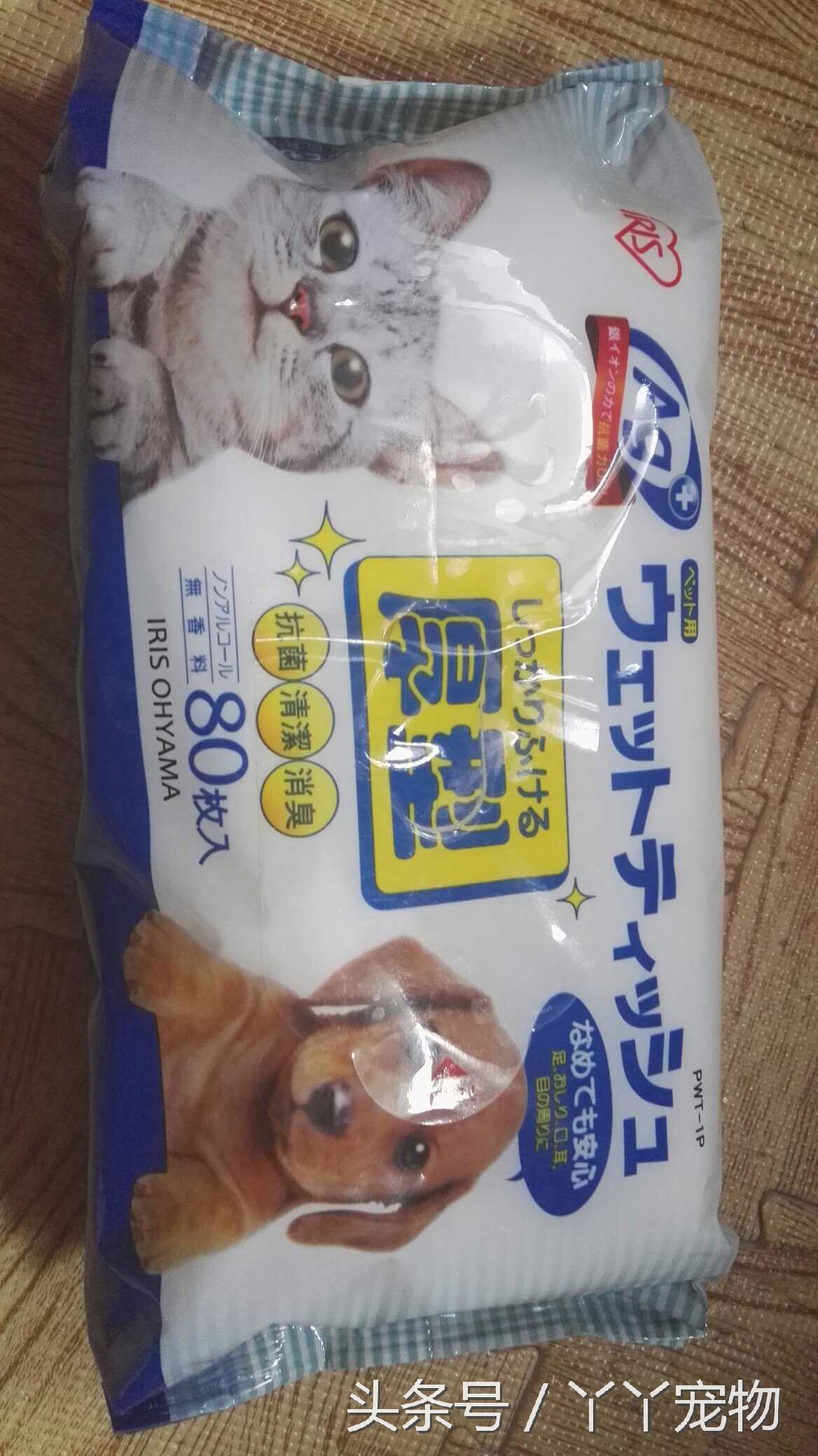 宠物狗布病怎么治疗,宠物常见疾病治疗及症状每日分享