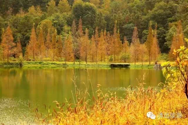 秋天到了你想去哪里旅行,佛冈适合雨天游玩的地方