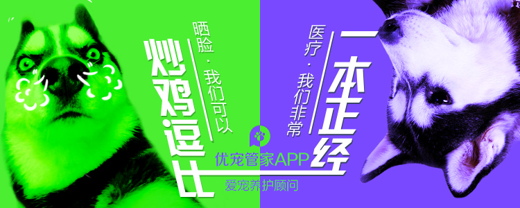 优宠管家：猫狗尿结石专题，独家食疗土方！