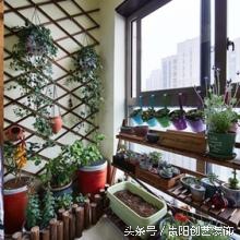 混了那么久,还以为自己是*江老**湖———看后真心乐了