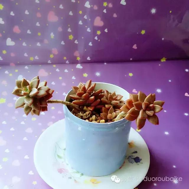 入坑就不能自拔,入坑后无法自拔