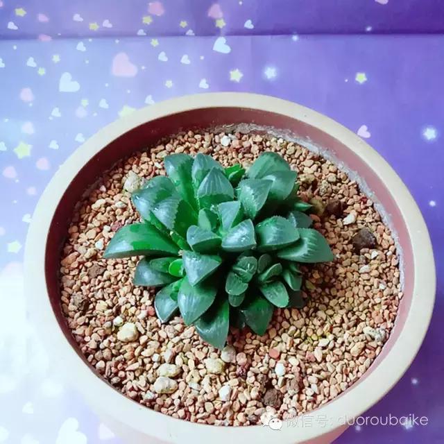 入坑就不能自拔,入坑后无法自拔