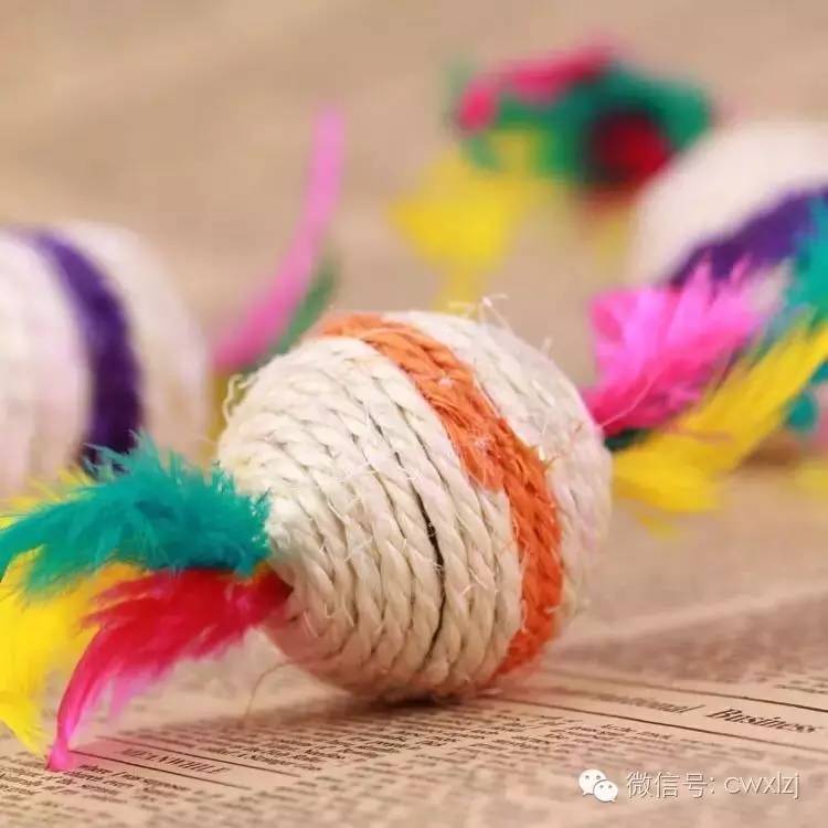 猫和网线坏了怎么办,猫和老鼠致命问题