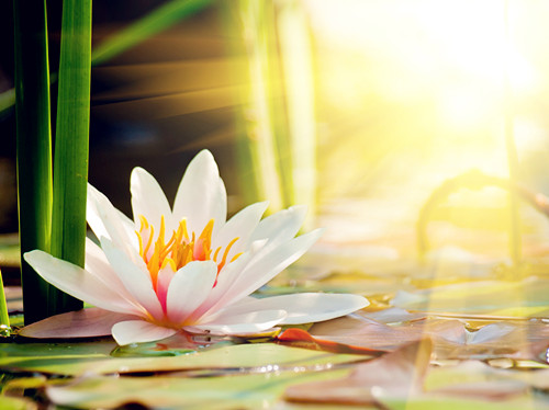 纪晓岚找乾隆算命是第几集,纪晓岚查账怎么查