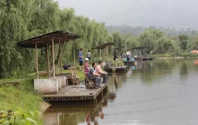 重庆周边钓鱼温泉看花的农家乐,重庆大学城附近包食宿的农家乐