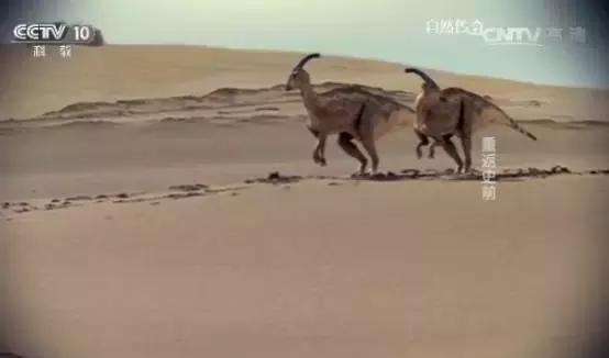 别再让孩子看《熊×》《×羊》了!看看CCTV-10吧