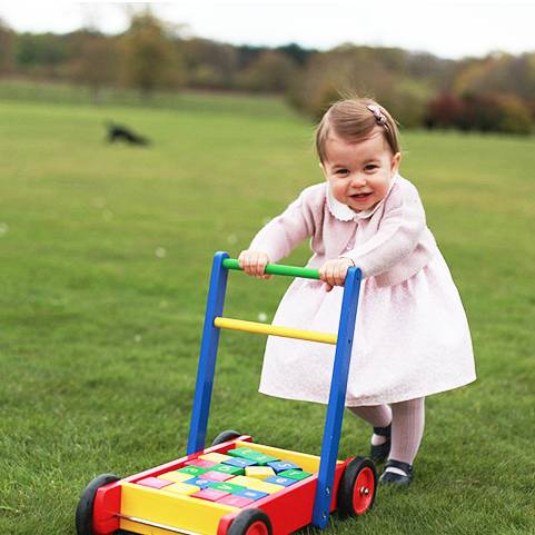 宝宝成长中必备玩具有哪些 (宝宝成长必买玩具)