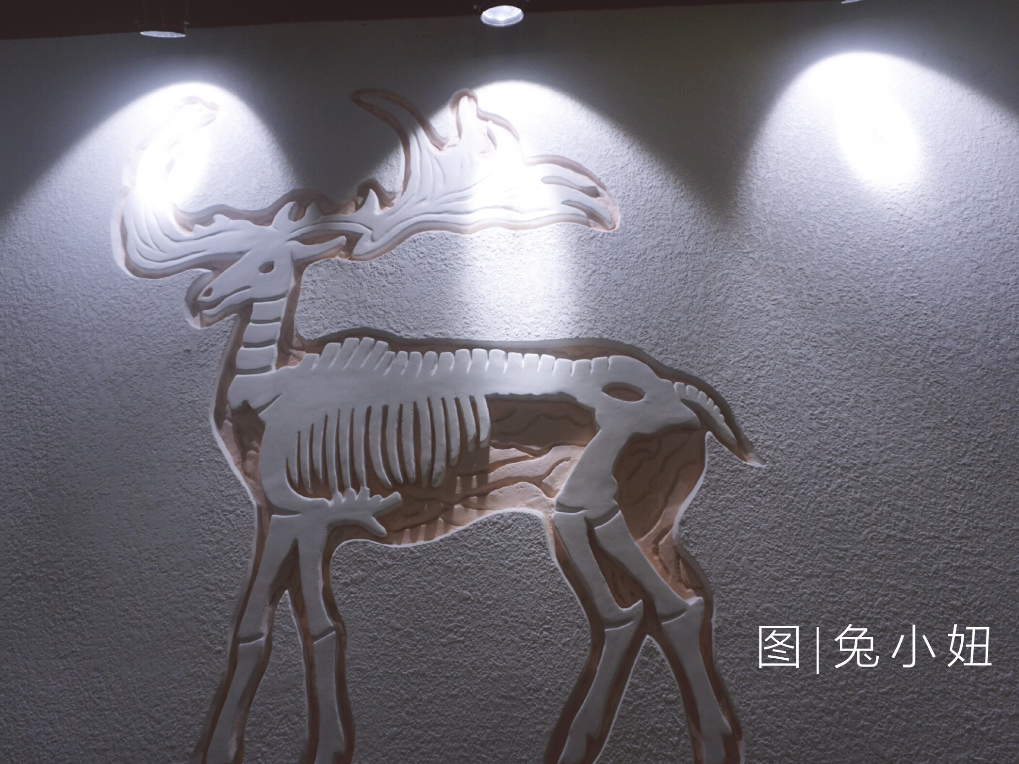 盐焗都能焗些什么菜,盐焗可以焗哪些美食