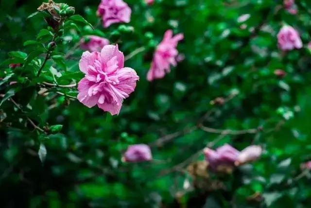 悬泉飞瀑的风景图,悬泉山瀑布在什么地方