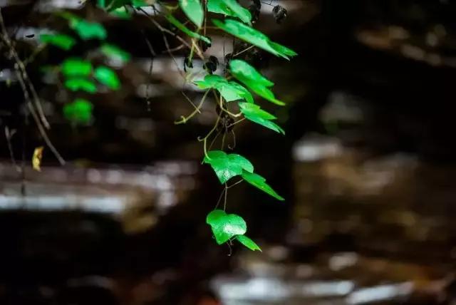 悬泉飞瀑的风景图,悬泉山瀑布在什么地方