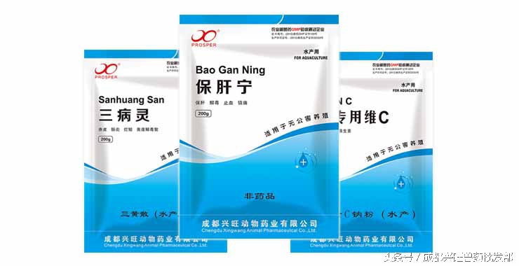 草鱼病毒性出血病死亡数量的变化,草鱼病毒性出血病用什么药好