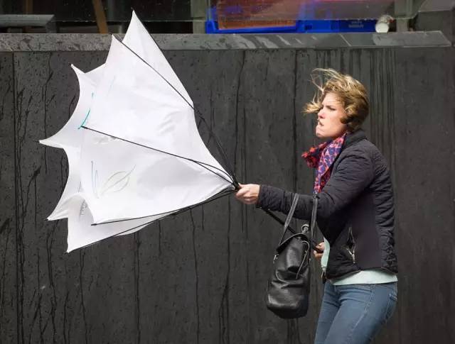 有了这些伞，哪怕天天下雨也很爽