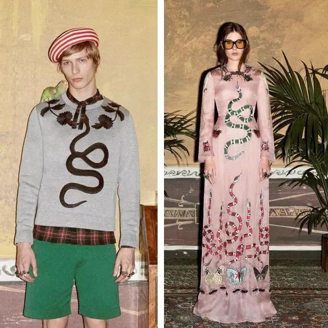 躺在品牌上的飞禽走兽