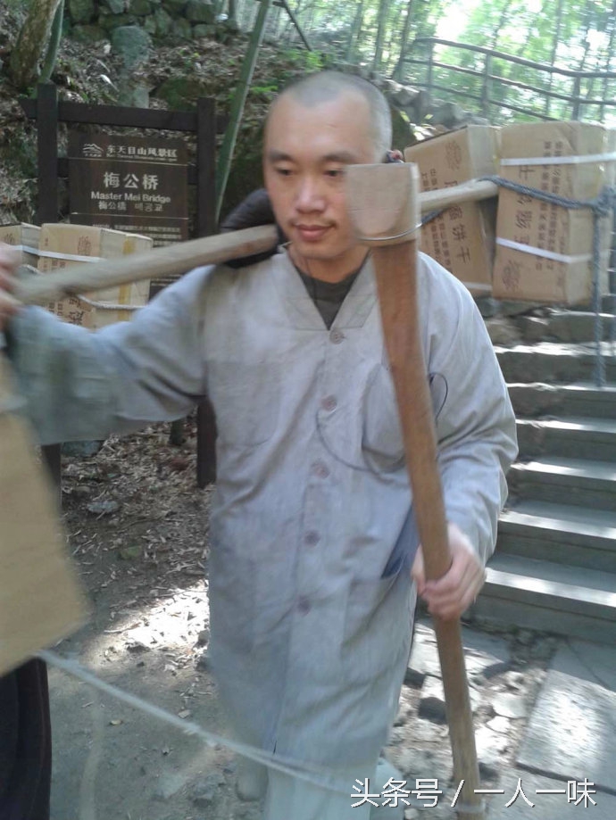 漫游天目山,探幽天目山森林之旅