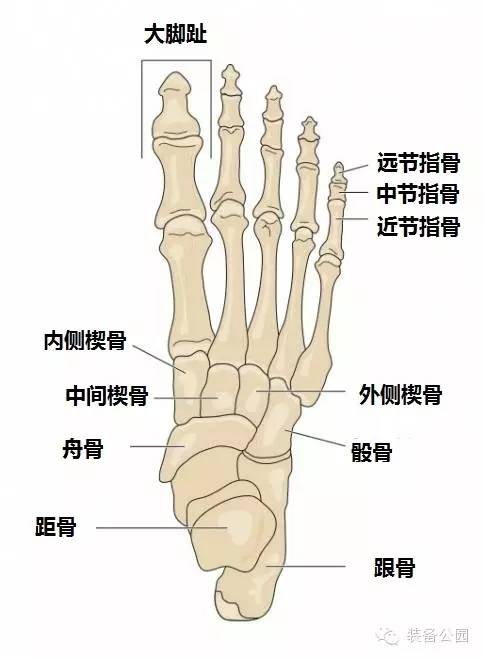 你真懂接地气的“玩意”吗？如何去爱护它？