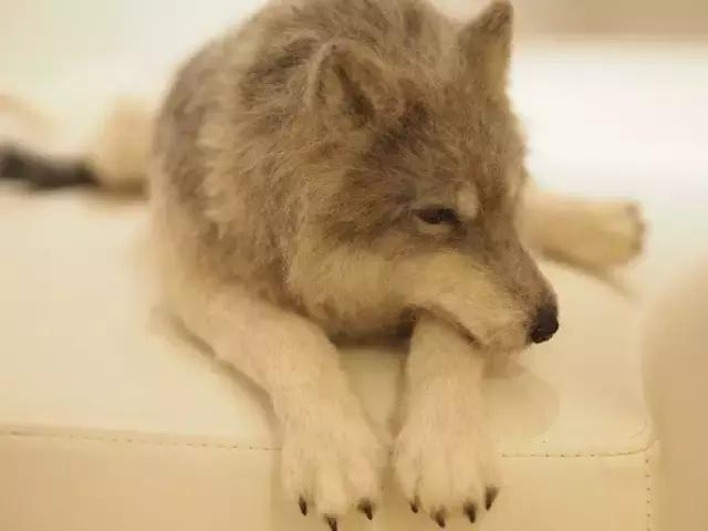 在座的各位你们输了,盘点你们到底输在了哪里