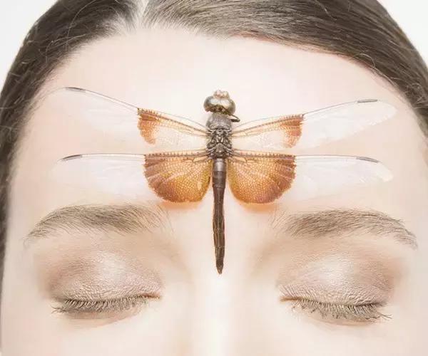 如何养成光洁饱满的额头,怎样拥有一个饱满又好看的额头