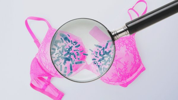 如何正确清洗内衣不会变形,如何正确清洗内衣教程