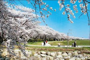 日本岩手县小森林取景地,小森林地方