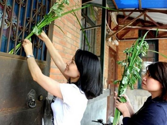 艾草稻草灰,艾叶和草灰