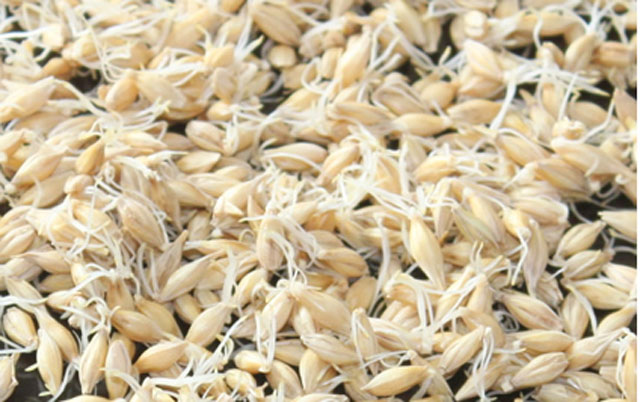 治疗胃溃疡跟胃胀气的中药偏方,治疗胃溃疡和12指肠溃疡的偏方