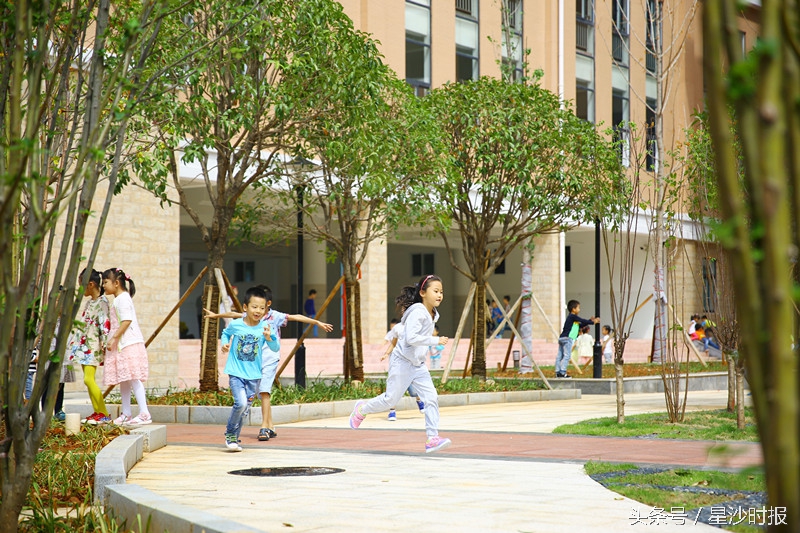 盼盼二小,盼盼二小星沙